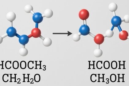 HCOOCH CH2 H2O