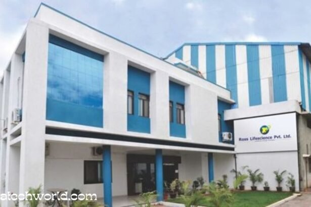evolveware information technology i pvt ltd