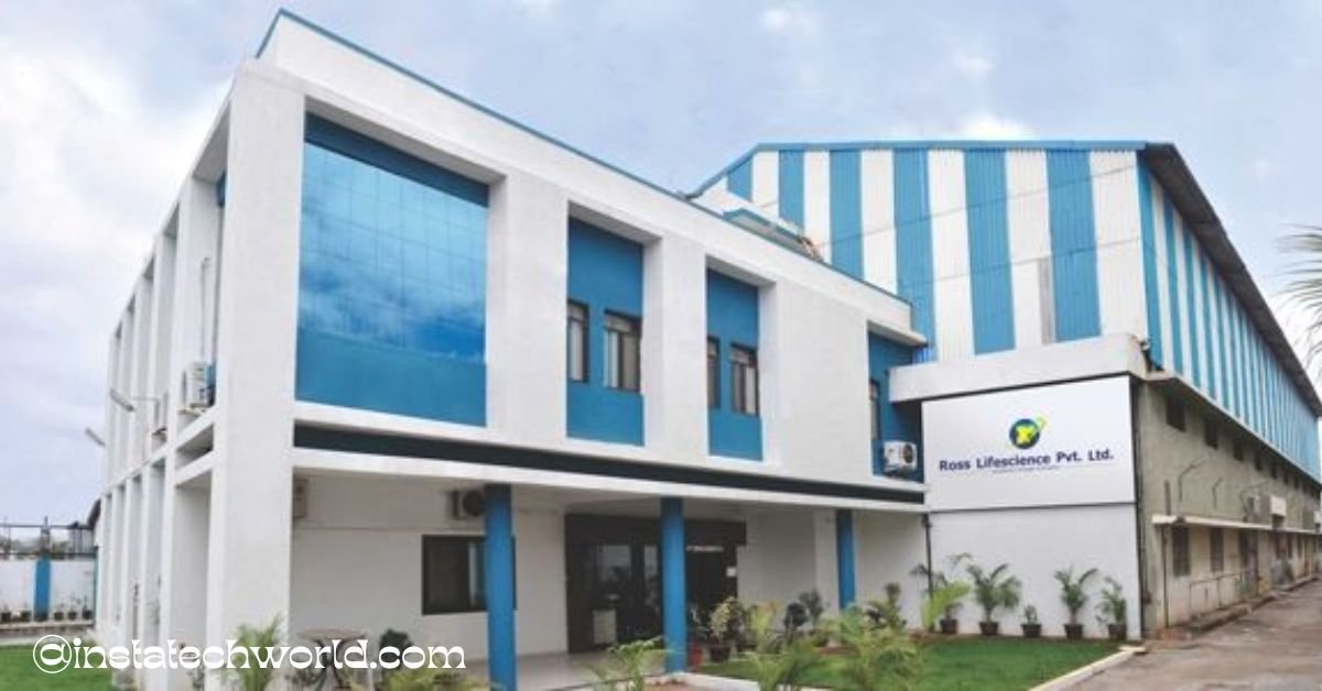 evolveware information technology i pvt ltd